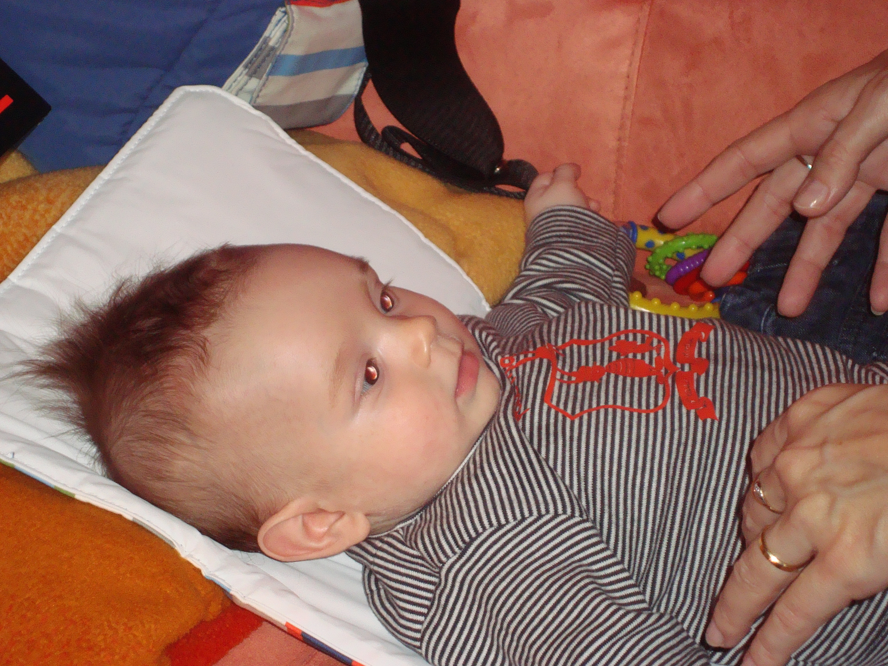 DSC00790.JPG