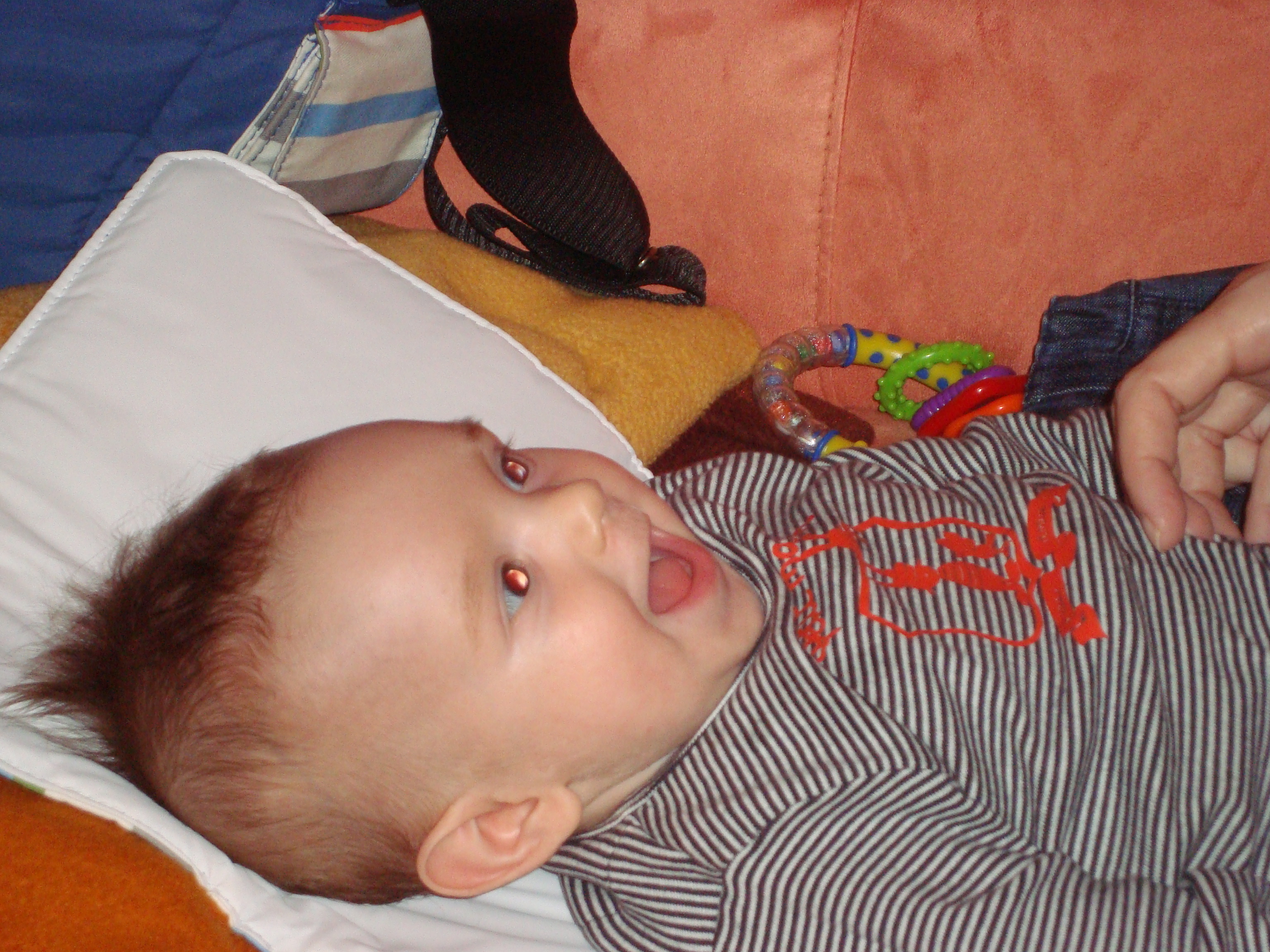 DSC00791.JPG